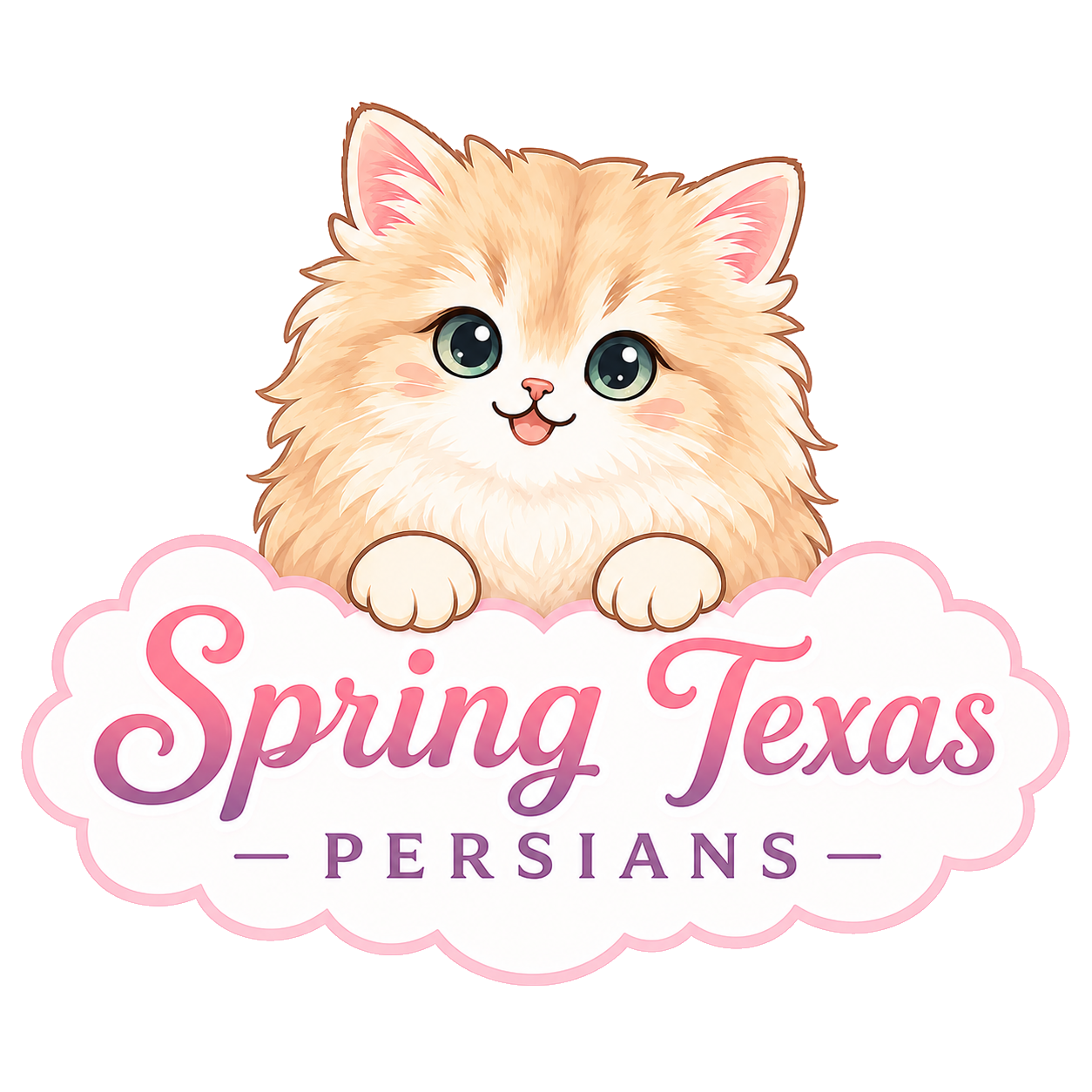 Spring Texas Persians